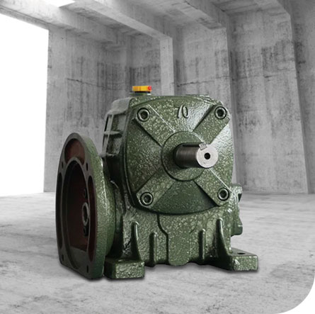 Riduttore di attrezzatura wp worm